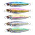 Miniatyrbilde 9 av 10: Metal Fishing Lure Jig Agn 30G003 003 30g003