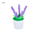Miniatyrbilde 1 av 9: 2 STK skilpaddeblomst potteblomst 7 7 7