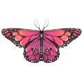 Pikkukuva 1 / 10: Butterfly Wings Butterfly Wings Cape 1 1 1