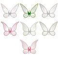 Pikkukuva 3 / 10: Fairy Wings Princess -puku Wings C C C