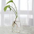 Miniatyrbillede 1 af 10: Vase Glasvasen 9 9 9