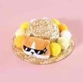 Pikkukuva 7 / 10: Pet Sunhat cap STYLE 4 STYLE 4 Style 4