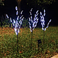 Miniatyrbilde 5 av 10: Juletreblad Sollys FARGE FARGE colour