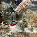 Miniatyrbillede 5 af 10: 1 æske Miniature Siv Langbladsgræsklynge GRØN green