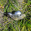 Miniatyrbillede 6 af 7: Aliens Snail Statue Figur Statue Model 01 01