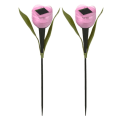 Miniatyrbillede 1 af 10: 2 Stk Tulipaner Solar PINK Pink