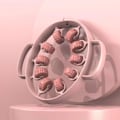 Miniatyrbillede 1 af 10: Massage Roller Ben Massager 1 1 1