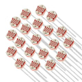 Miniatyrbillede 1 af 6: 20 stk 5mm 1ohm fotomodstand LDR modstand 5528 GL5528