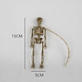 Miniatyrbillede 2 af 6: Poseable skelet legetøj Lille skelet figur menneskelige skelet 8 pcs