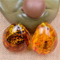 Pikkukuva 6 / 10: Butterfly Amber Stone Hyönteinen Spcimen Riipus SCORPION SCORPION scorpion