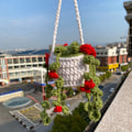 Miniatyrbillede 6 af 10: Plantevedhæng Hæklede planter hængende C C C