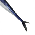 Miniatyrbild 9 av 9: 2st 3D-fiske trollingbete Mjuka fiskedrag C C C