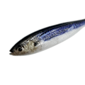 Miniatyrbillede 4 af 9: 2stk 3D Fiskeri Trolling Agn Bløde Fiskelokker E E E