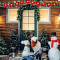 Miniatyrbild 9 av 9: Christmas Julstjärna Garland Artificiell Blomma String Light
