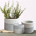 Miniatyrbilde 4 av 8: Blomsterform Blomstermønster C C C