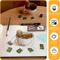 Miniatyrbilde 5 av 10: Farge Blandeboks Black Walnut Tom Box Palett FARGE 1 MED Color 1 with Clip