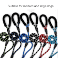 Miniatyrbillede 8 af 10: 6FT Hundesnor Slip Bly SORT black