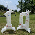 Miniatyrbilde 4 av 10: 2stk kronestående digital ballong NUMMER-9 NUMMER-9 Number-9