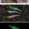 Miniatyrbilde 7 av 10: blekksprutkrok blekksprut lokke 3,0C C 3.0C