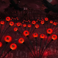 Miniatyrbilde 7 av 10: Halloween Scary Eyeball Lights Outdoor Solar Light HVIT white