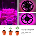 Miniatyrbillede 7 af 10: Phytolampe til plantevækstlys 1M 1M