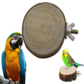 Miniatyrbillede 4 af 10: Bird Perch Stand Pet Platform 10-12CM 10-12cm