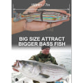 Miniatyrbild 4 av 10: Multi Minnow Bait 08 08 08