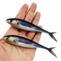 Miniatyrbillede 2 af 9: 2stk 3D Fiskeri Trolling Agn Bløde Fiskelokker A A A
