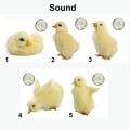 Miniatyrbillede 2 af 10: Vocalize Plys Duck Simulation Furry Duckling 5-FÆLLES 5-FÆLLES 5-Common