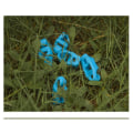 Miniatyrbillede 4 af 10: 10 stk Outdoor Mountain Spænder Camping Telte Spænder BLÅ Blue