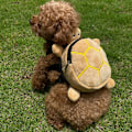 Miniatyrbild 3 av 10: Pet Snack Bag Dog Self Ryggsäck FÄRG 4 FÄRG 4 Color 4