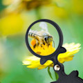 Miniatyrbillede 4 af 9: Foldelup Forstørrelsesglas SORT Black