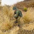 Pikkukuva 5 / 8: 1 laatikko Miniatyyri kuihtunut ruoho pitkä ruohorypäle Micro