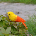 Pikkukuva 7 / 10: Faux Feather Bird Model Simulation Parrot 3 3 3