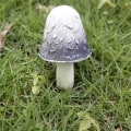 Miniatyrbilde 7 av 10: Resin soppstatue Sopppynt C C C
