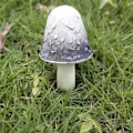 Pikkukuva 7 / 10: Resin Mushroom Patsas Sienikoristeet C C C