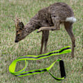Pikkukuva 9 / 10: Deer Drag Valjaat Deer Drag Strap Deer Drag Sled