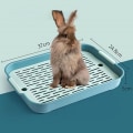 Miniatyrbild 9 av 10: Små djurtillbehör Toalett Kanin kattlåda VIT L white L