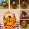 Pikkukuva 7 / 10: Butterfly Amber Stone Hyönteinen Spcimen Riipus SCORPION SCORPION scorpion