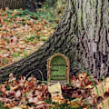 Miniatyrbilde 10 av 10: Fairy Gate Fairy Tale TYPE H TYPE H Type H