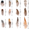 Miniatyrbillede 3 af 3: Fjer Naturlige Fjer Blandede fjer