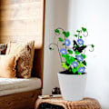 Pikkukuva 7 / 10: Puutarhasäleikkö kiipeilykasvi Trellis C C C