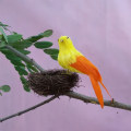 Miniatyrbild 10 av 10: Faux Feather Bird Model Simulation Parrot 4 4 4