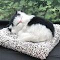 Miniatyrbillede 5 af 8: Yndigt Vocal Cat Plys Legetøj C C C