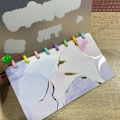 Pikkukuva 6 / 8: Savings Binder 52 Week Savings Challenge Money-Saving Organizer