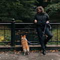 Miniatyrbilde 6 av 10: Treningstau Hund Trekktau GRÅ 120-180CM Grey 120-180cm