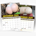 Miniatyrbillede 5 af 5: 2024 Verdens største svampe kalender vægkalender hængende