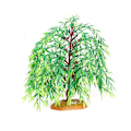 Miniatyrbillede 1 af 10: Artificial Cactus Models Miniature Fruit Tree 7 7 7