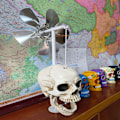 Miniatyrbillede 4 af 7: Skull Wind Spinner Wind Spinner SORT black