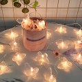 Miniatyrbild 9 av 10: LED Butterfly LED-lampor String TRANSPARENT 6M 6M Transparent 6M-6M